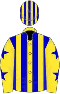 Yellow, blue stripes, stars on sleeves, striped cap
