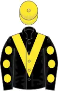 Black, yellow chevron, black sleeves, yellow spots, yellow cap