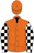 Orange, black and white checked sleeves