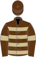 Brown, beige hoops and armlets