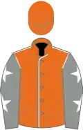 Orange, white seams, grey sleeves, white stars, orange cap, white stars