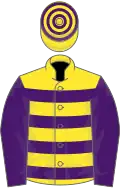 Yellow, purple hoops and sleeves, hooped cap