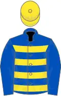 Royal Blue, Yellow hoops, Royal Blue sleeves, Yellow cap