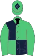 Emerald green and dark blue (quartered), emerald green sleeves, emerald green cap, dark blue diamond