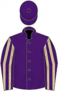 Purple, beige striped sleeves