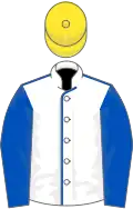 White, royal blue seams and sleeves, yellow cap