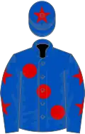 Royal blue, large red spots, royal blue sleeves, red stars, royal blue cap, red star