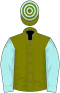 Olive green, pale blue sleeves, hooped cap