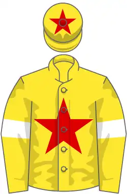 YELLOW, RED star, YELLOW sleeves, WHITE armlets, YELLOW cap, RED star