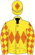 Yellow, orange triple diamond, diamonds on sleeves, yellow cap, orange diamond