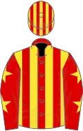Red and yellow stripes, red sleeves, yellow stars