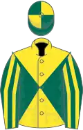 Yellow and dark green diabolo, dark green and yellow striped sleeves, yellow and dark green quartered cap