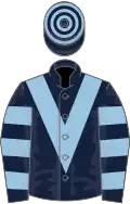 Dark blue, light blue chevron, hooped sleeves and cap