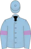 Light blue, mauve armlets