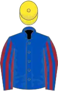 Royal blue, maroon and royal blue striped sleeves, yellow cap