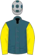Saxe blue, canary sleeves, silver cap, blue spots