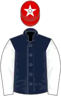 Dark blue, white sleeves, red cap, white star