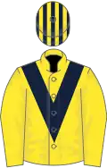 Yellow, dark blue chevron, striped cap