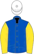 Royal blue, yellow sleeves, white cap