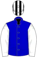 Blue, white sleeves, black and white striped cap