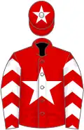 Red, white star, white chevrons on sleeves, white star on cap