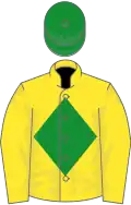 Yellow, green diamond, green cap