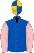 Blue, pink slvs, blue and gold quartered cap