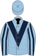 Light blue, dark blue chevron, striped sleeves