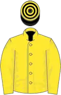 Yellow, Black and Yellow hooped cap