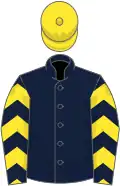 Dark blue, yellow chevron hoops, yellow cap
