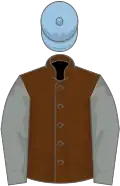 Brown, grey sleeves, light blue cap