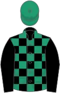 Black and Emerald Green check, Black sleeves, Emerald Green cap