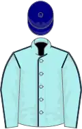 Pale blue, dark blue seams, navy blue cap