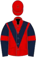 Red, dark blue chevron, dark blue sleeves, red armlets