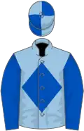 Light blue, royal blue diamond and sleeves, quartered cap