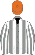 Grey and white stripes, orange cap
