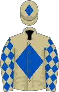 Beige, royal blue diamond, diamonds on sleeves, diamond on cap