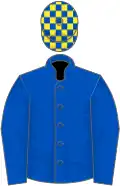 Royal blue, yellow checked cap