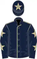 Dark blue, beige seams, dark blue sleeves, beige stars, dark blue cap, beige star