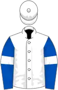White, royal blue sleeves, white armlets