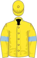 Yellow, light blue armlets