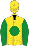 Yellow, green disc and sleeves