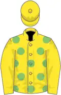 Yellow, light green spots on body