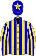 Yellow and blue stripes, blue cap, yellow star