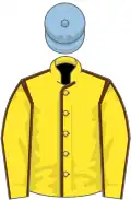 Yellow, brown seams, light blue cap