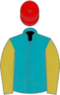 Peacock blue, old gold sleeves, red cap