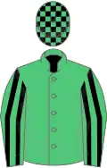 Emerald green, black striped sleeves, checked cap