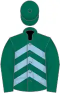 Dark green, light blue chevrons on body
