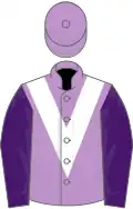Mauve, white chevron, purple sleeves