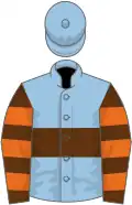Light blue, brown hoop, brown and orange hooped sleeves